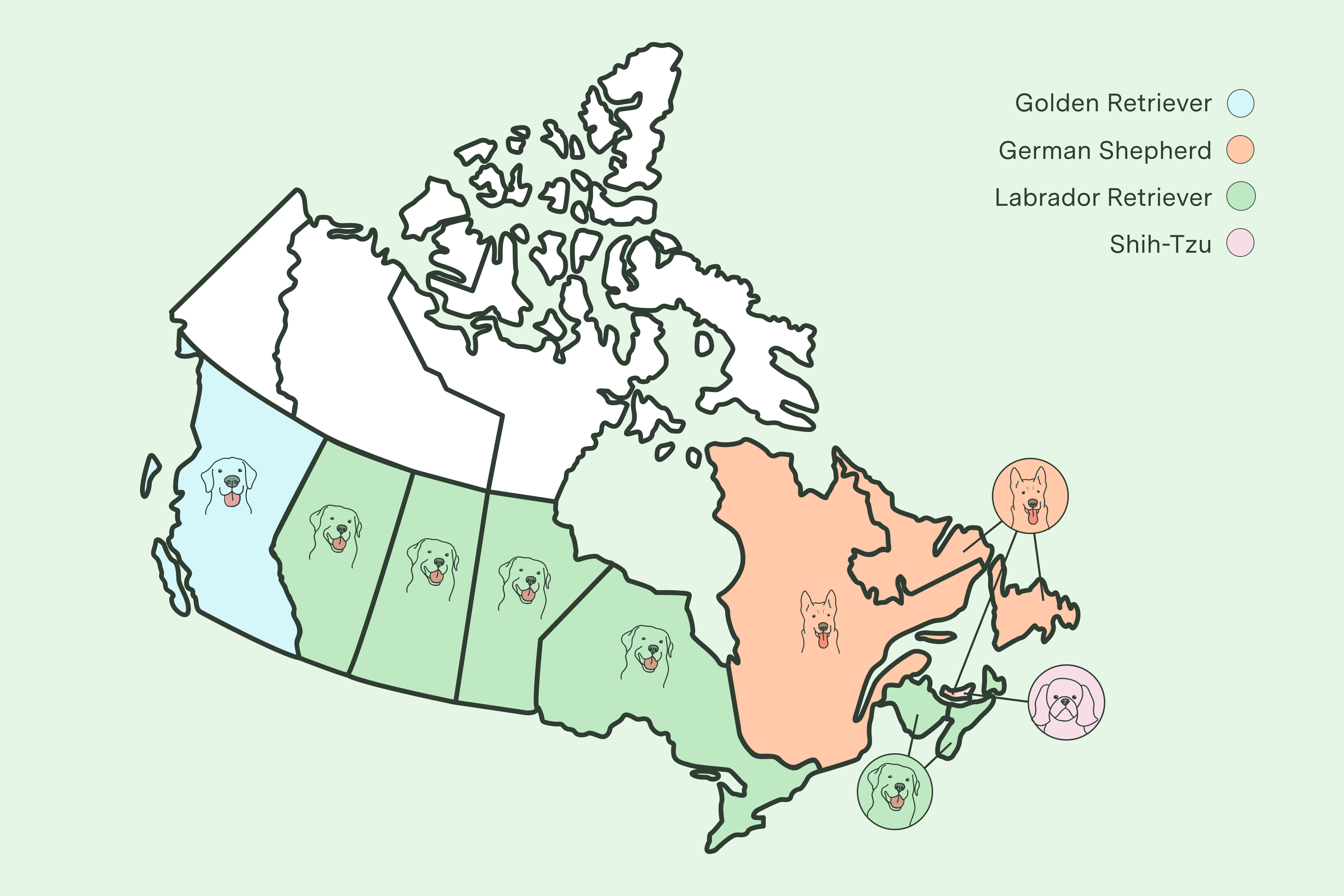 Popular Breeds By Province Most Popular Canadian Breeds Kabo popular-breeds-by-province-most-popular-canadian-breeds-kabo